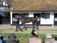 NH051025-22 - Ile de Jersey